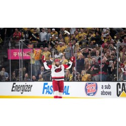 Quatorze ans pour saisir l'ultime opportunité lors des finales de la Coupe Stanley de cette saison
